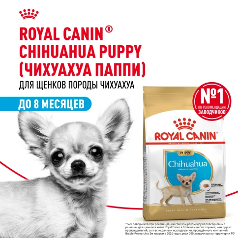 Сухой корм Royal Canin Chihuahua Puppy для щенков породы чихуахуа, 1,5 кг фото 13