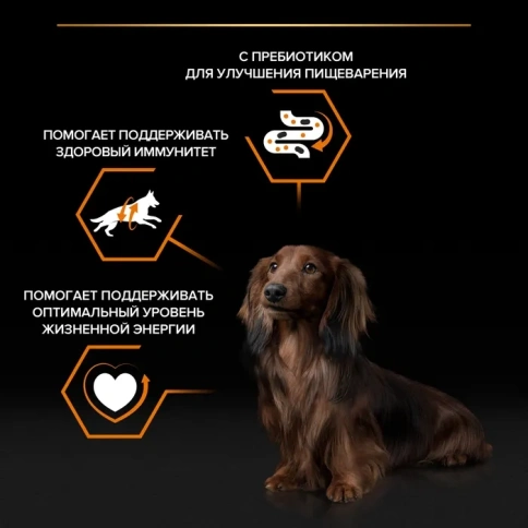 Влажный корм PRO PLAN Chicken для взрослых собак мелких и карликовых пород, с курицей в соусе, 85 г фото 2