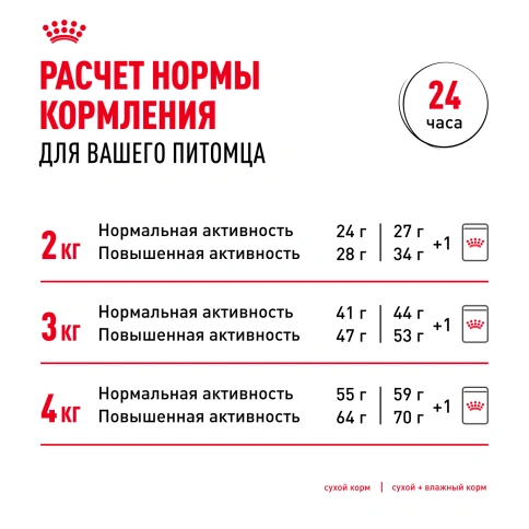 Сухой корм Royal Canin Chihuahua Adult для собак породы чихуахуа, 3 кг фото 9
