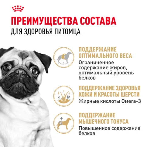 Сухой корм Royal Canin Pug Adult для взрослых собак, 1,5 кг фото 3