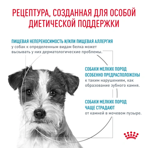 Сухой корм Royal Canin Hypoallergenic Small Dogs для собак, 3,5 кг фото 4