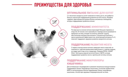 Сухой корм Royal Canin Kitten для котят, 10 кг фото 4