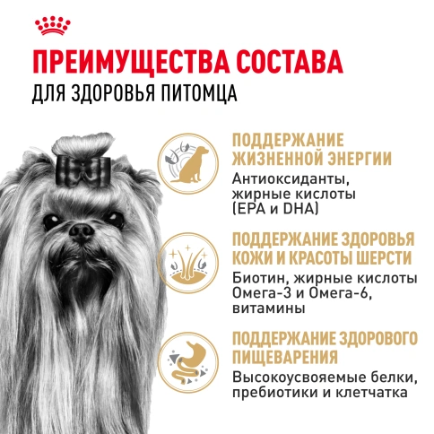Сухой корм Royal Canin Yorkshire Terrier Adult 8+ для собак породы йоркширский терьер, 500 г фото 4