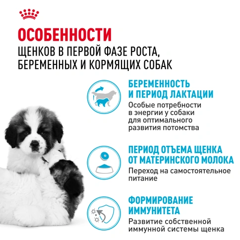 Сухой корм Royal Canin Giant Starter Mother & Babydog для щенков и собак, 15 кг фото 2