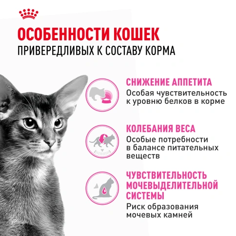 Сухой корм Royal Canin Protein Exigent для кошек фото 2