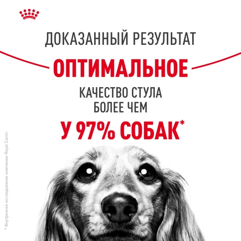 Сухой корм Royal Canin Medium Digestive Care для собак, 3 кг фото 9
