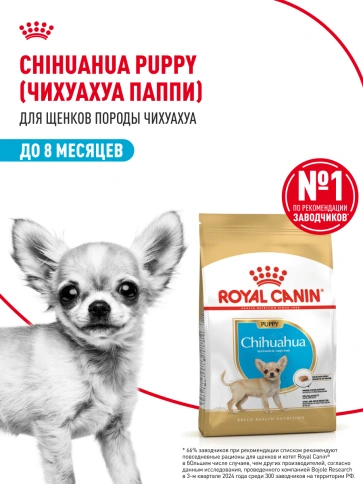 Сухой корм Royal Canin Chihuahua Puppy для щенков породы чихуахуа, 1,5 кг фото 15