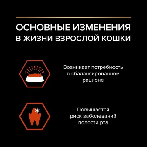 Сухой корм PRO PLAN Salmon для взрослых кошек, с высоким содержанием лосося, 3 кг фото 3