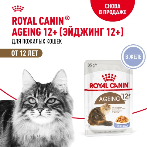 Влажный корм Royal Canin Ageing 12+ в желе для стареющих кошек старше 12 лет, пауч, 85 г фото 16