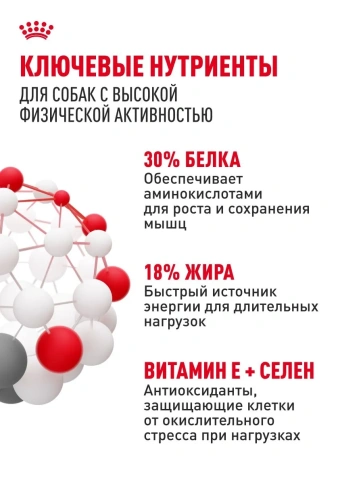 Сухой корм Royal Canin Club Energy HE, для активных собак, 20 кг фото 4