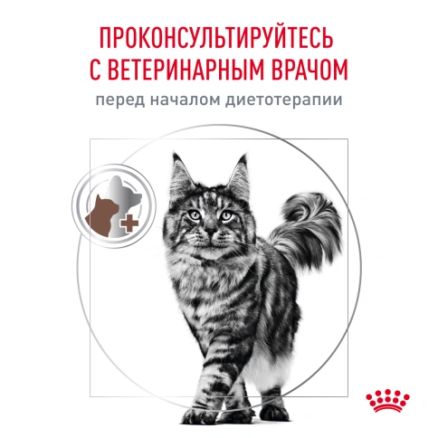 Сухой корм Royal Canin Hepatiс для кошек, 350 г фото 7