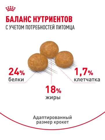 Сухой корм Royal Canin X-Small Adult для собак, 1,5 кг фото 16