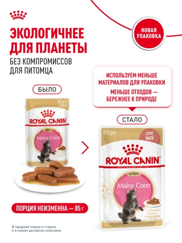 Влажный корм Royal Canin Maine Coon Kitten в соусе для котят породы мейн-кун и других крупных пород старше 3 месяцев, пауч, 85 г фото 25