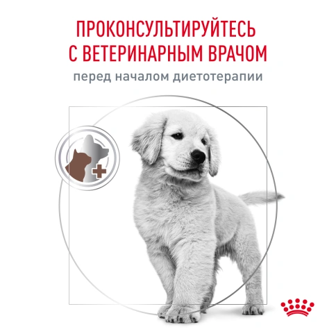 Сухой корм Royal Canin Gastrointestinal Puppy для щенков, 2,5 кг фото 6