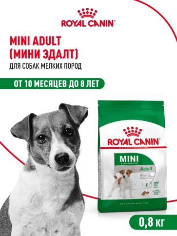 Сухой корм Royal Canin Mini Adult для взрослых собак, 800 фото 13
