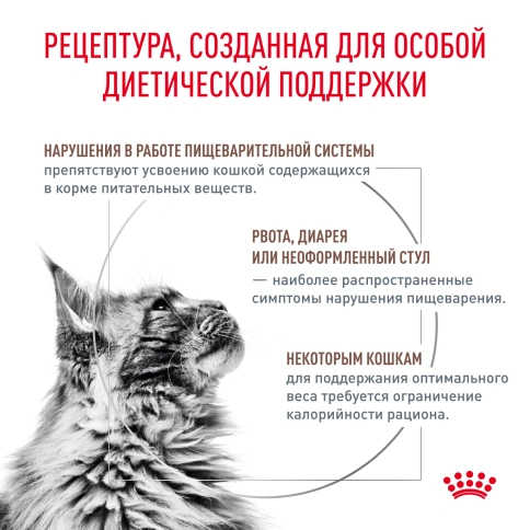 Сухой корм Royal Canin Gastrointestinal Moderate Calorie для кошек, 2 кг фото 3