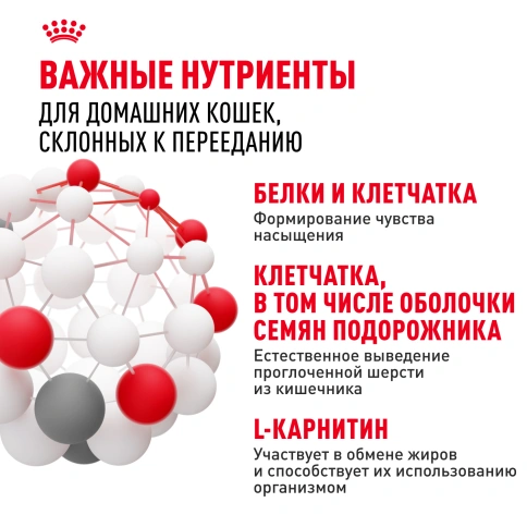 Сухой корм Royal Canin Indoor Appetite Control для кошек, 2 кг фото 5
