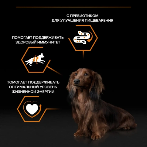 Влажный корм PRO PLAN Duck для взрослых собак мелких и карликовых пород, с уткой в соусе, 85 г фото 2