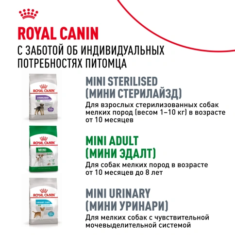Сухой корм Royal Canin Mini Adult 8+ для пожилых собак, 4 кг фото 8