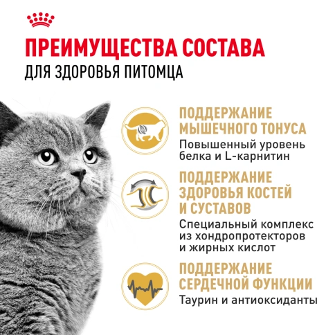 Сухой корм Royal Canin British Shorthair для кошек породы британская короткошерстная, 2 кг фото 2