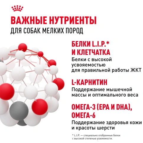 Влажный корм Royal Canin Mini Adult в соусе для взрослых собак мелких пород старше 10 месяцев, пауч, 85 г фото 12