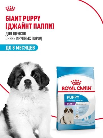 Сухой корм Royal Canin Giant Puppy для щенков, 3,5 кг фото 12