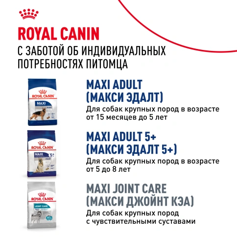 Сухой корм Royal Canin Maxi Ageing 8+ для собак, 3 кг фото 7