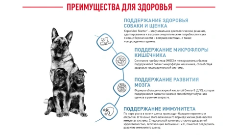 Сухой корм Royal Canin Maxi Starter Mother & Babydog для собак, 15 кг фото 6