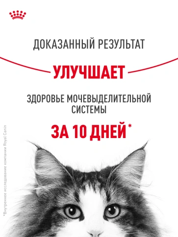 Сухой корм Royal Canin Urinary Care для кошек для профилактика мочекаменной болезни, 400 г фото 17