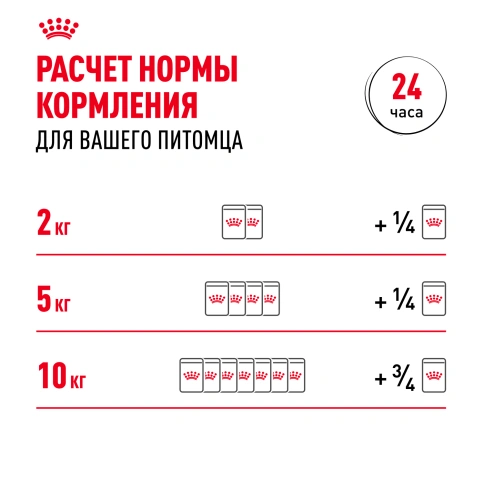 Влажный корм Royal Canin Mini Adult в соусе для взрослых собак мелких пород старше 10 месяцев, пауч, 85 г фото 15