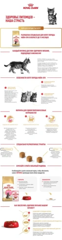 Сухой корм Royal Canin Kitten Maine Coon для котят, 4 кг фото 11