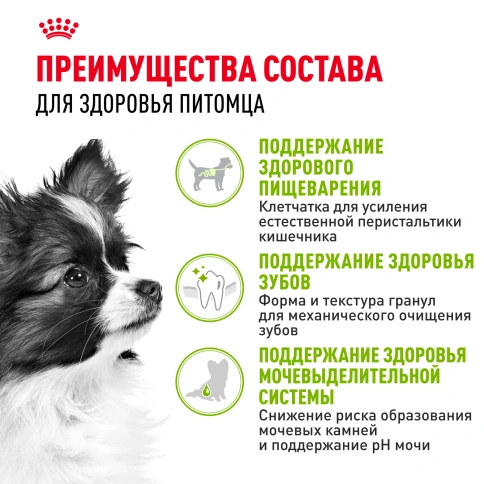 Сухой корм Royal Canin X-Small Adult для собак, 1,5 кг фото 3