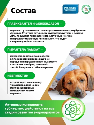 Антигельминтик Пчелодар для кошек и собак, Фенпраз Форте, мелких пород, 2 таблетки фото 2