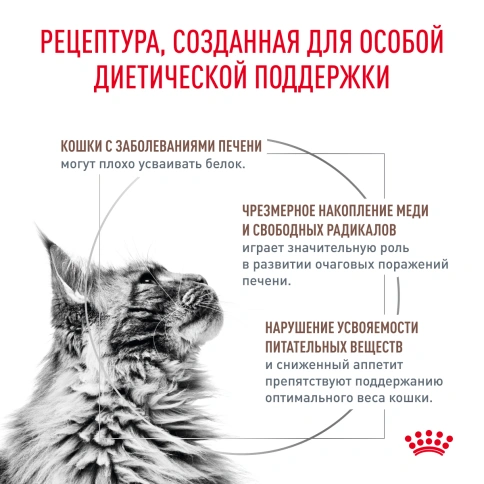 Сухой корм Royal Canin Hepatiс для кошек, 350 г фото 3