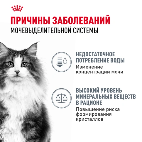 Влажный корм Royal Canin Urinary Care в соусе для кошек для поддержания здоровья мочевыделительной системы, пауч, 85 г фото 2
