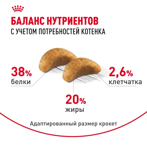 Сухой корм Royal Canin Kitten British Shorthair для котят, 400 г фото 4