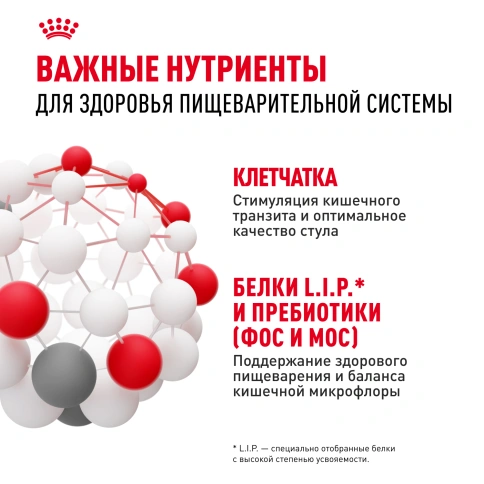 Сухой корм Royal Canin Maxi Digestive Care для собак, 3 кг фото 5