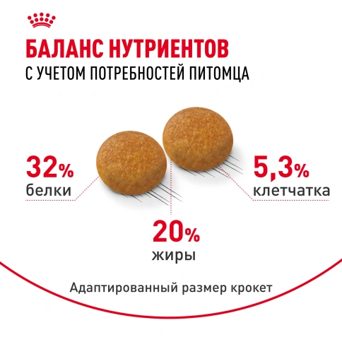 Сухой корм Royal Canin Siberian для кошек, 2 кг фото 4