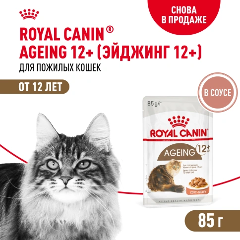Влажный корм Royal Canin Ageing 12+ в соусе для стареющих кошек старше 12 лет, пауч, 85 г фото 1
