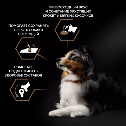 Сухой корм PRO PLAN DUO DELICE Beef для взрослых собак средних и крупных пород, с высоким содержанием говядины, 10 кг фото 2