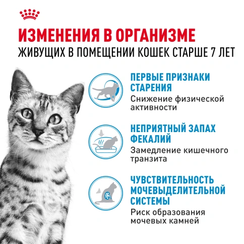 Сухой корм Royal Canin Indoor 7+ для кошек, 1,5 кг фото 5