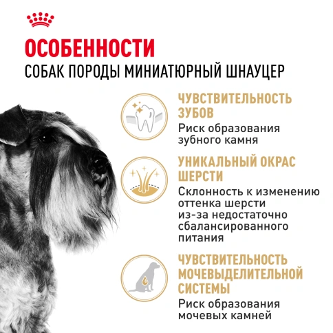 Сухой корм Royal Canin Miniature Schnauzer Adult для собак породы миниатюрный шнауцер, 7,5 кг фото 2