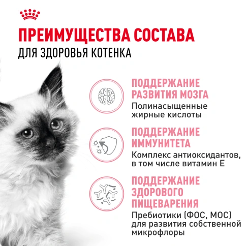 Сухой корм Royal Canin Kitten для котят, 10 кг фото 3