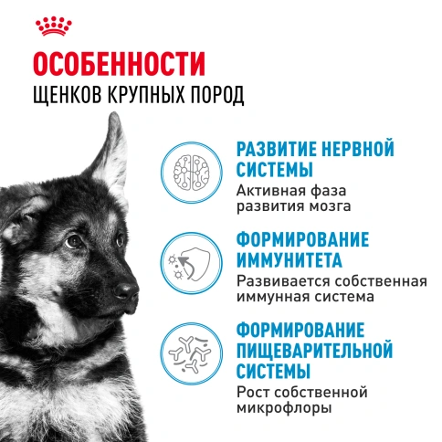 Сухой корм Royal Canin Maxi Puppy для щенков, 15 кг фото 2