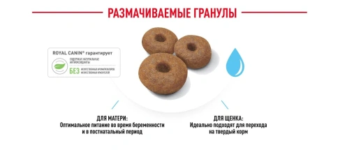 Сухой корм Royal Canin Maxi Starter Mother & Babydog для собак, 15 кг фото 4