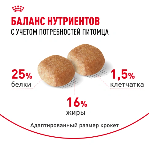 Сухой корм Royal Canin Miniature Schnauzer Adult для собак породы миниатюрный шнауцер, 7,5 кг фото 4