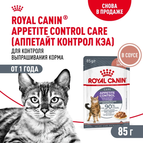 Влажный корм Royal Canin Appetite Control Care в соусе для взрослых кошек, для контроля выпрашивания корма, пауч, 85 г фото 1