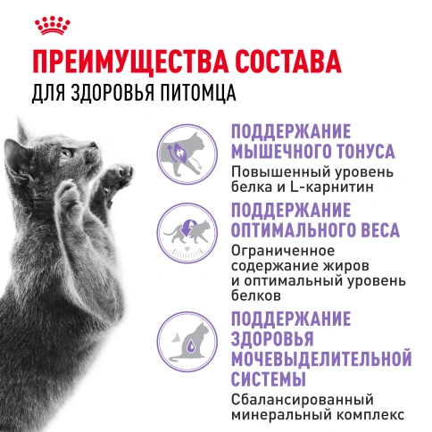 Сухой корм Royal Canin Sterilised для кастрированных котов и стерилизованных кошек фото 2