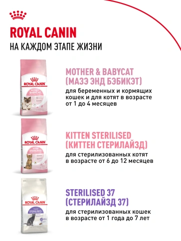Сухой корм Royal Canin Kitten для котят, 300 г фото 19