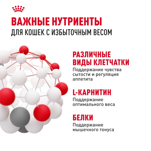 Влажный корм Royal Canin Light Weight Care в соусе для взрослых кошек, склонных к полноте, пауч, 85 г фото 4
